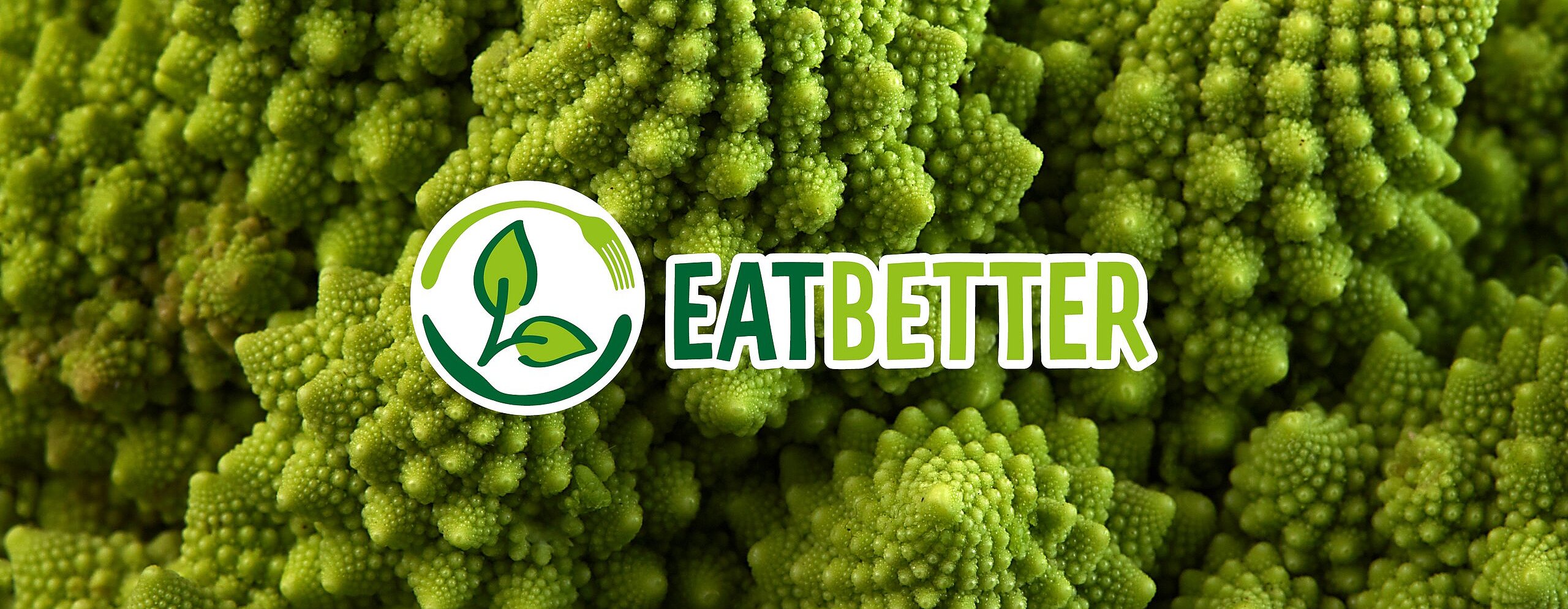 Im Hintergrund grüne spitze Pflanzen mit der Aufschrift in hell& dunkelgrün: EATBETTER 